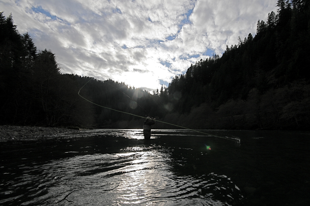 steelhead stansberry