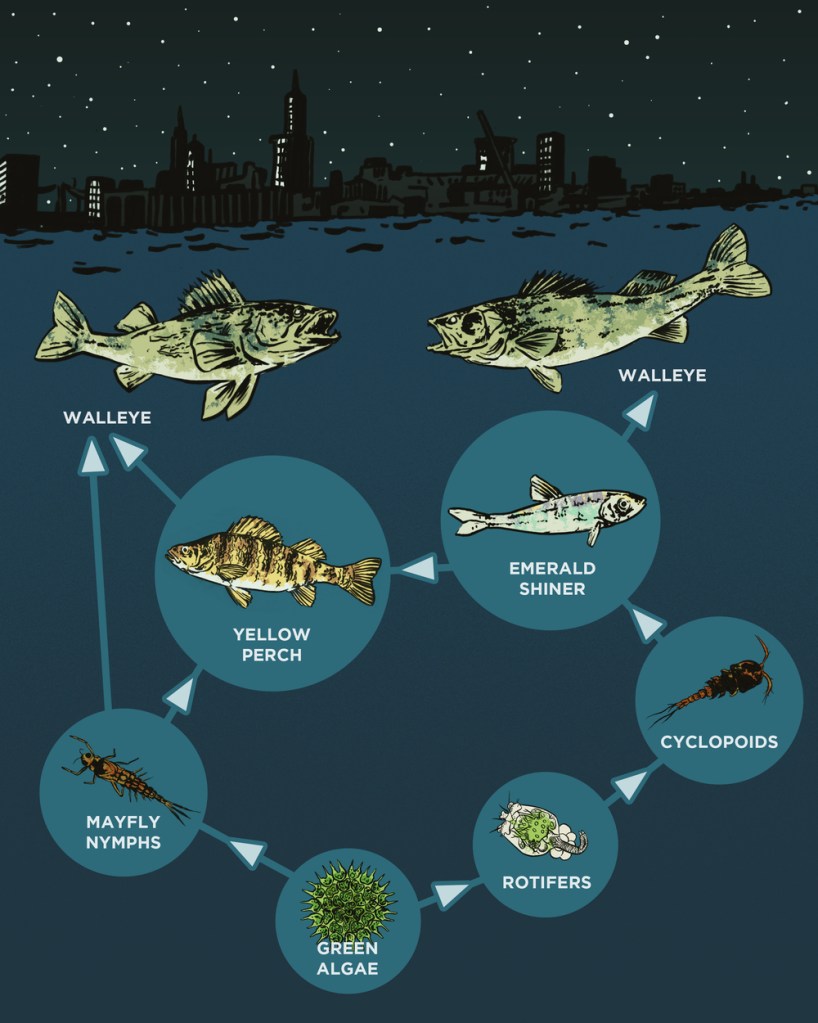 static-squarespace-com